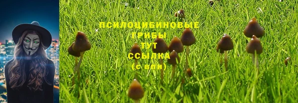 spice Краснотурьинск