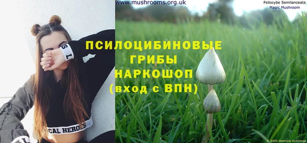 MESCALINE Краснослободск