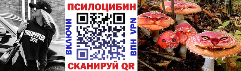 Купить где  Джанкой  Галлюциногенные грибы прущие грибы 